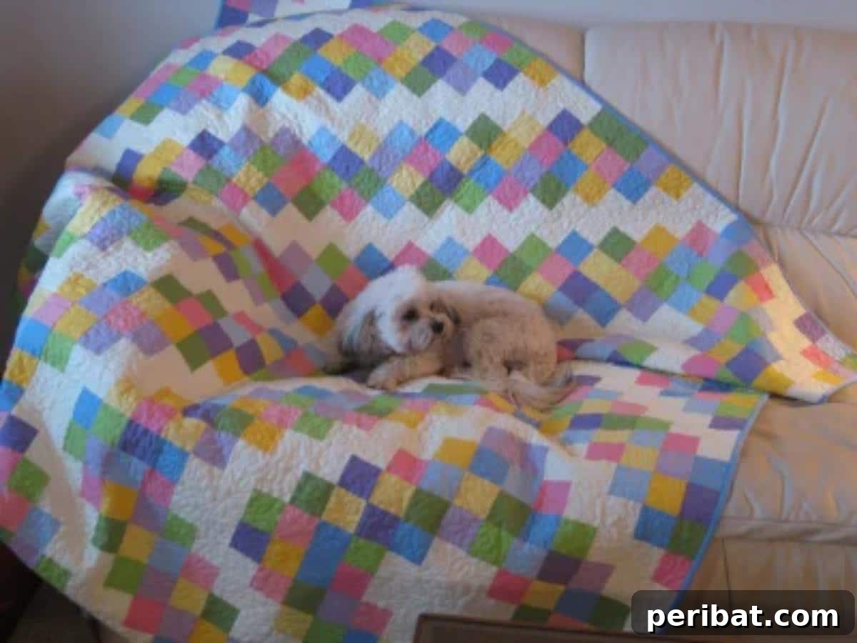 Sewing Through the Thirties: 28 Classic Patterns 23 30s Barn Raising Blanket