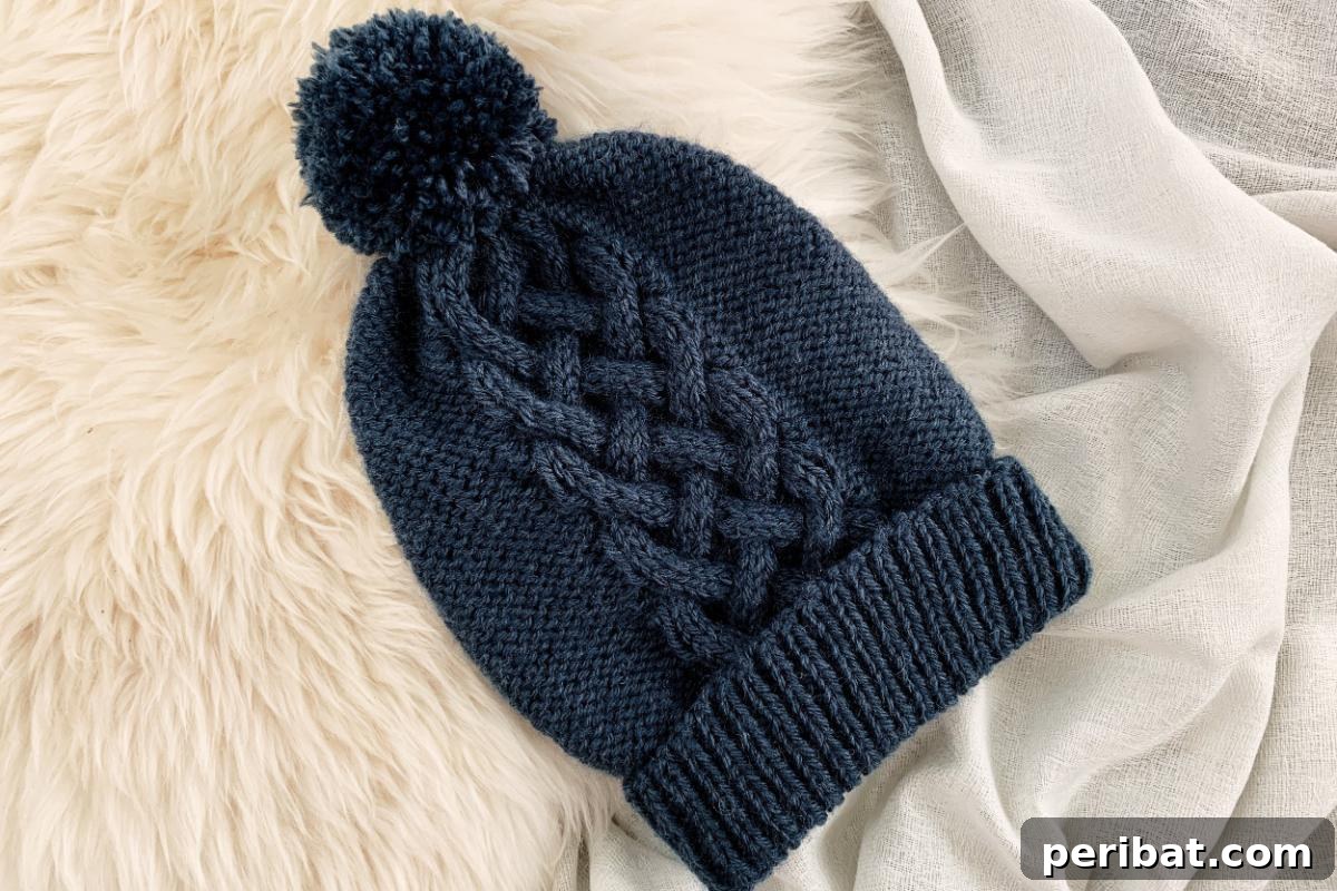 29 Inspiring Circular Knitting Designs 20 A stylish Interwoven Hat, showcasing its classic beanie shape and a prominent braided cable panel over a textured blue base, conveying a message of unity.
