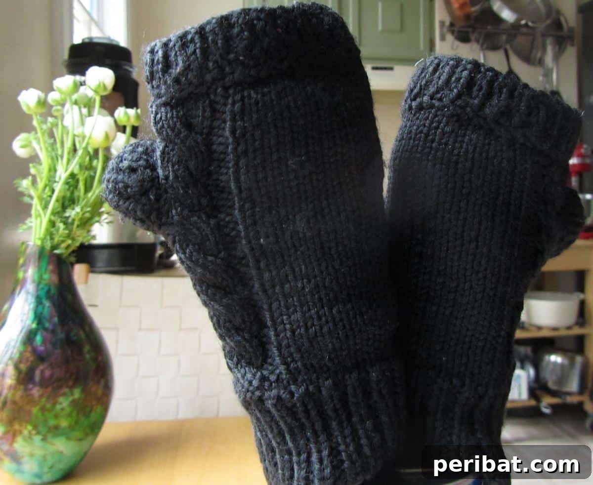 Fingerless Gloves