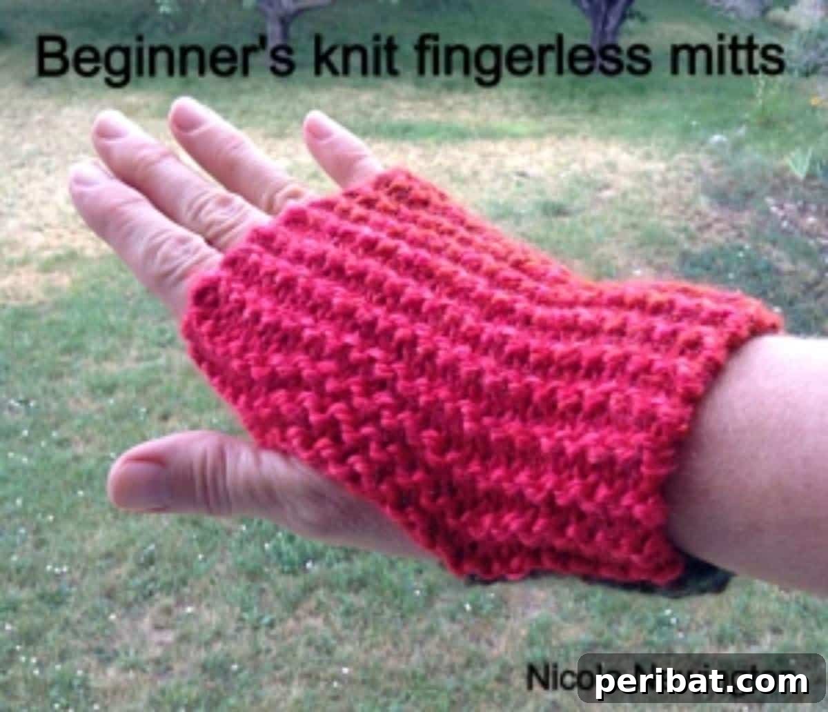 Crochet Fingerless Mitts