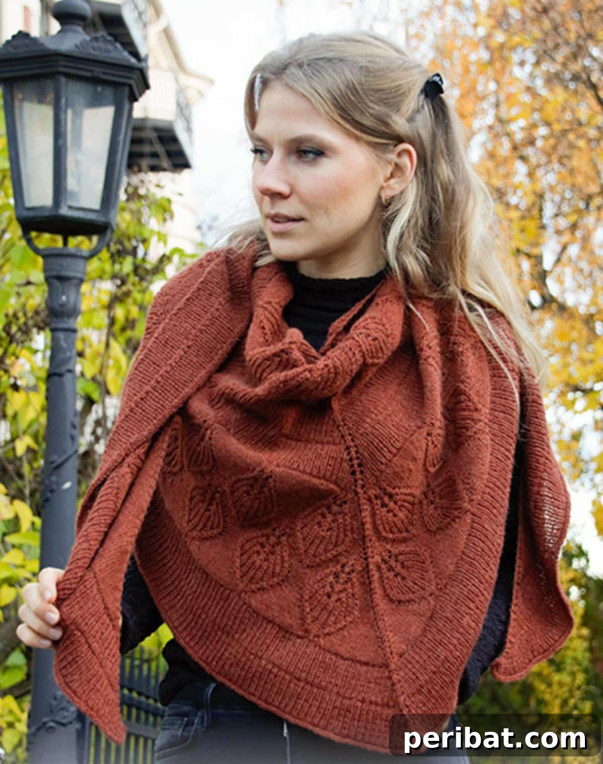 29 Stylish Poncho Knitting Patterns 14 Lacey Laurels Poncho