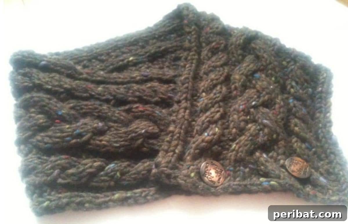 25 Inspiring Cable Knit Scarf Designs 12 Braidheart Scarf