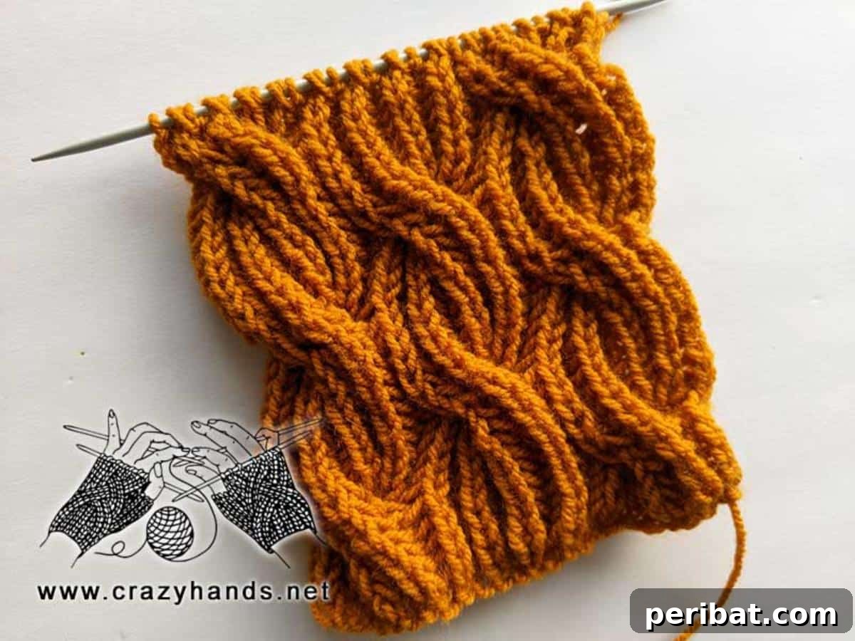 25 Inspiring Cable Knit Scarf Designs 18 Sunnyside Cable Knit Scarf