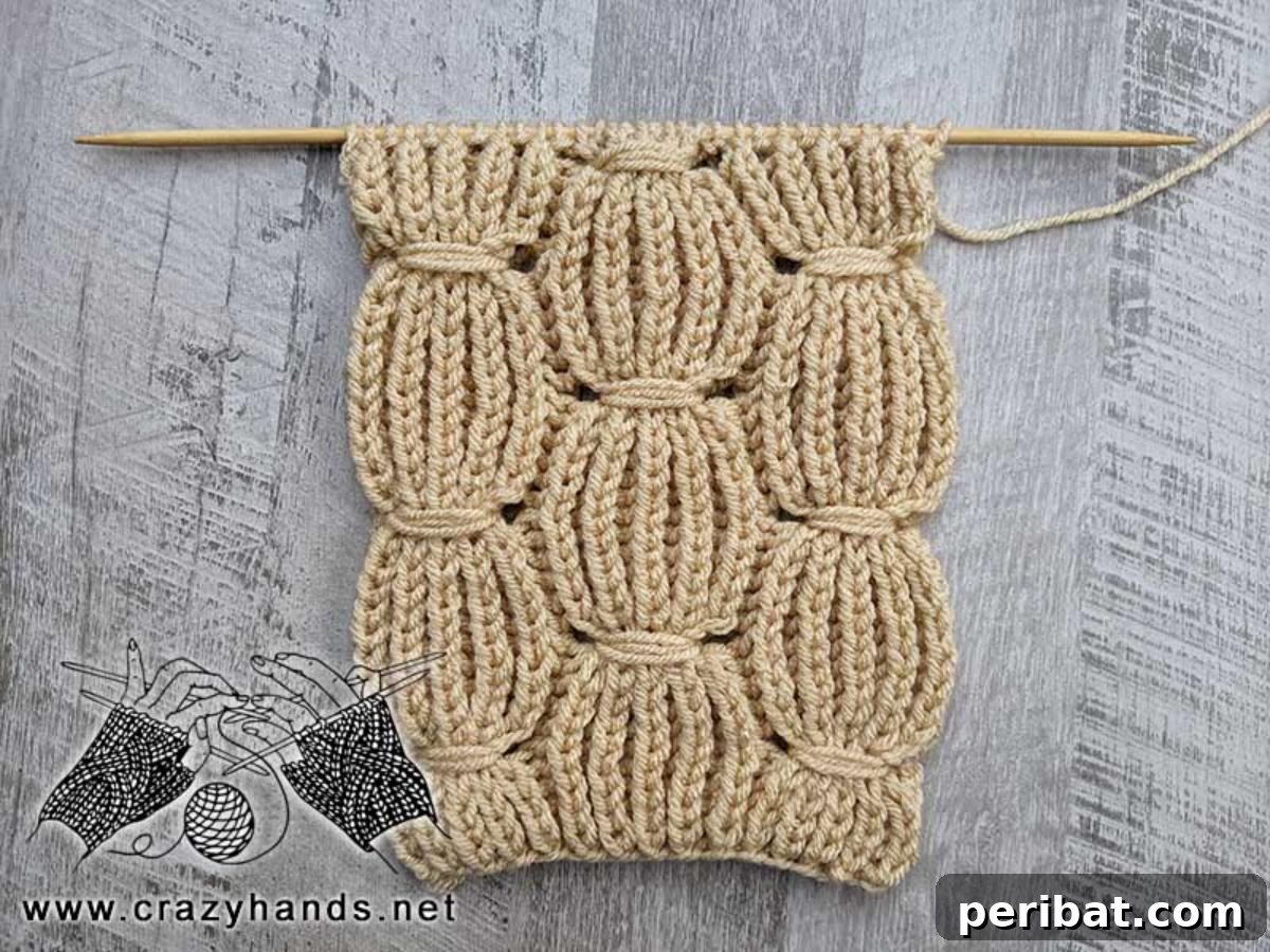 Reversible Brioche Knit Scarf, showcasing a soft, squishy texture and a subtle two-tone effect, draped casually.
