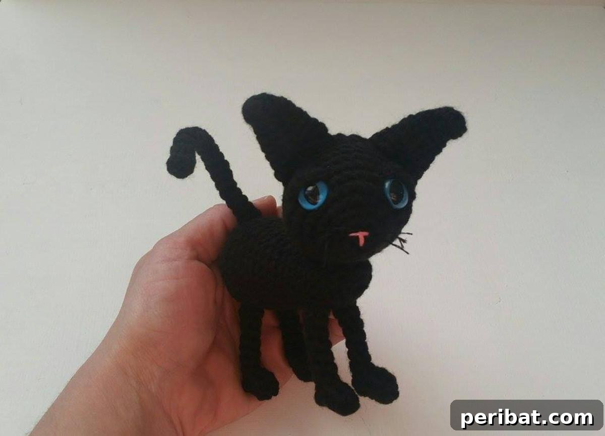 A mysterious black amigurumi crochet cat with distinct button eyes.