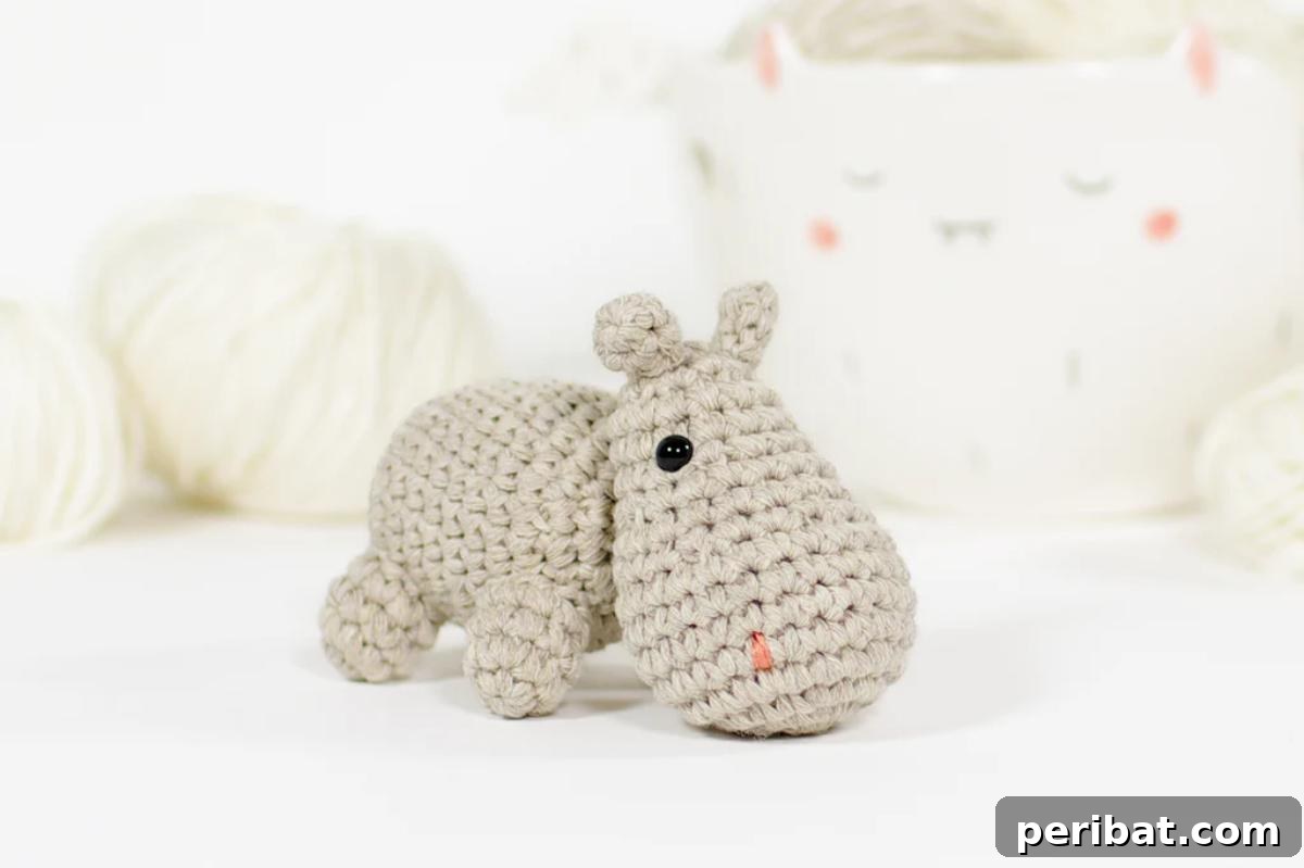 A tiny, adorable amigurumi Crochet Small Hippo.