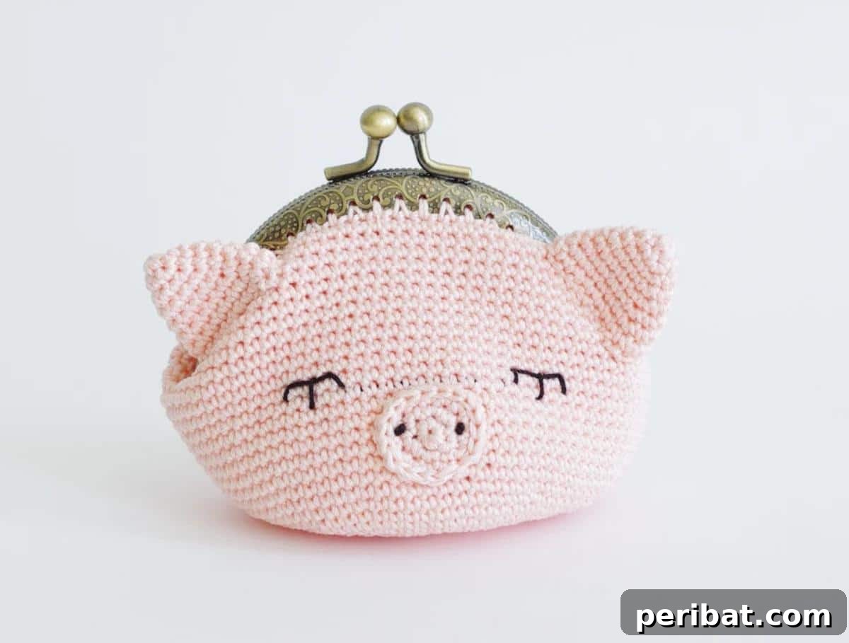 Cute Crochet Frame Piggy Purse