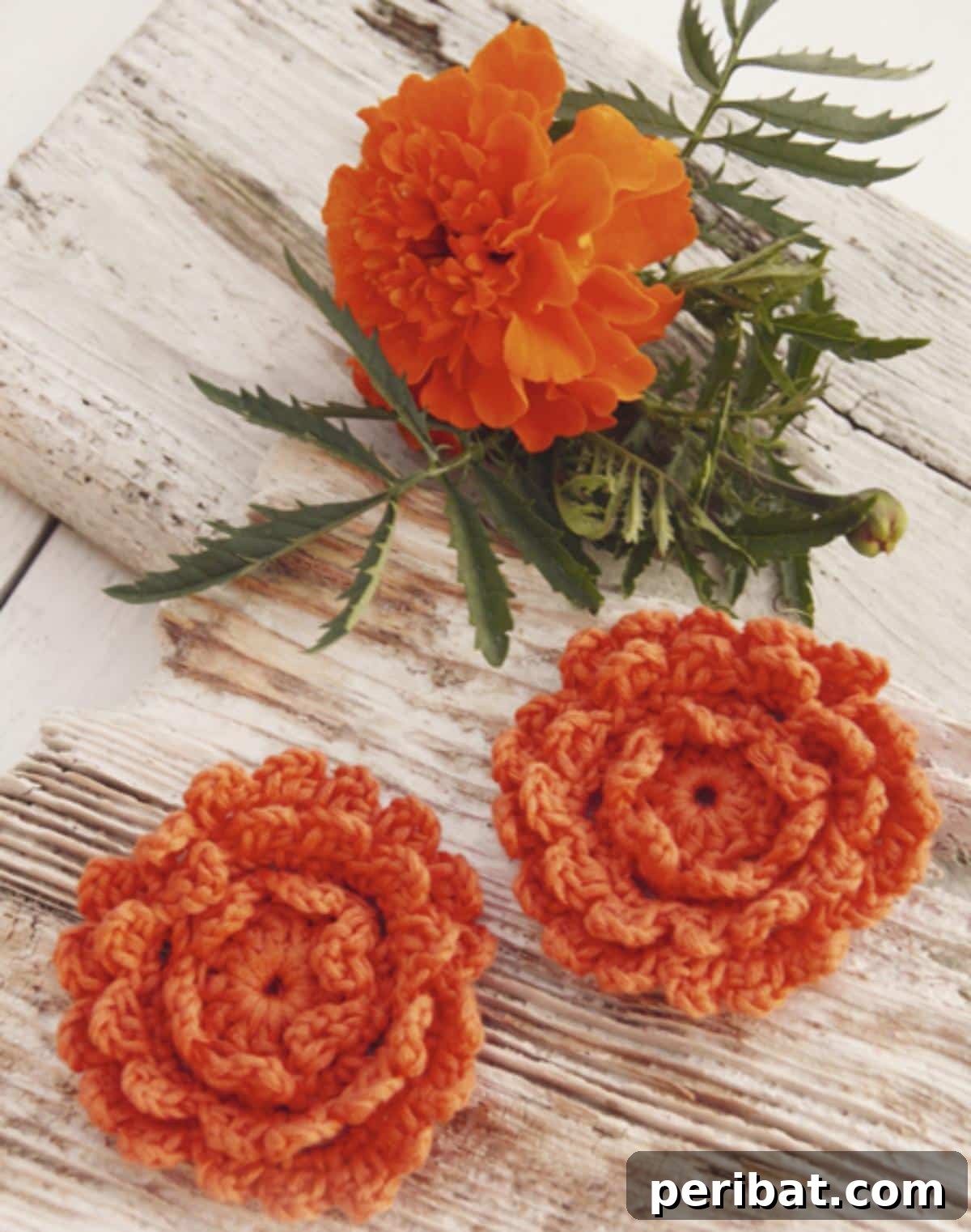 A vibrant crochet marigold with its characteristic layered petals and warm orange hue.