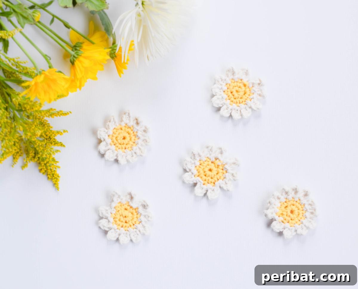 A charming cluster of sweet crochet daisies with yellow centers and pristine white petals.