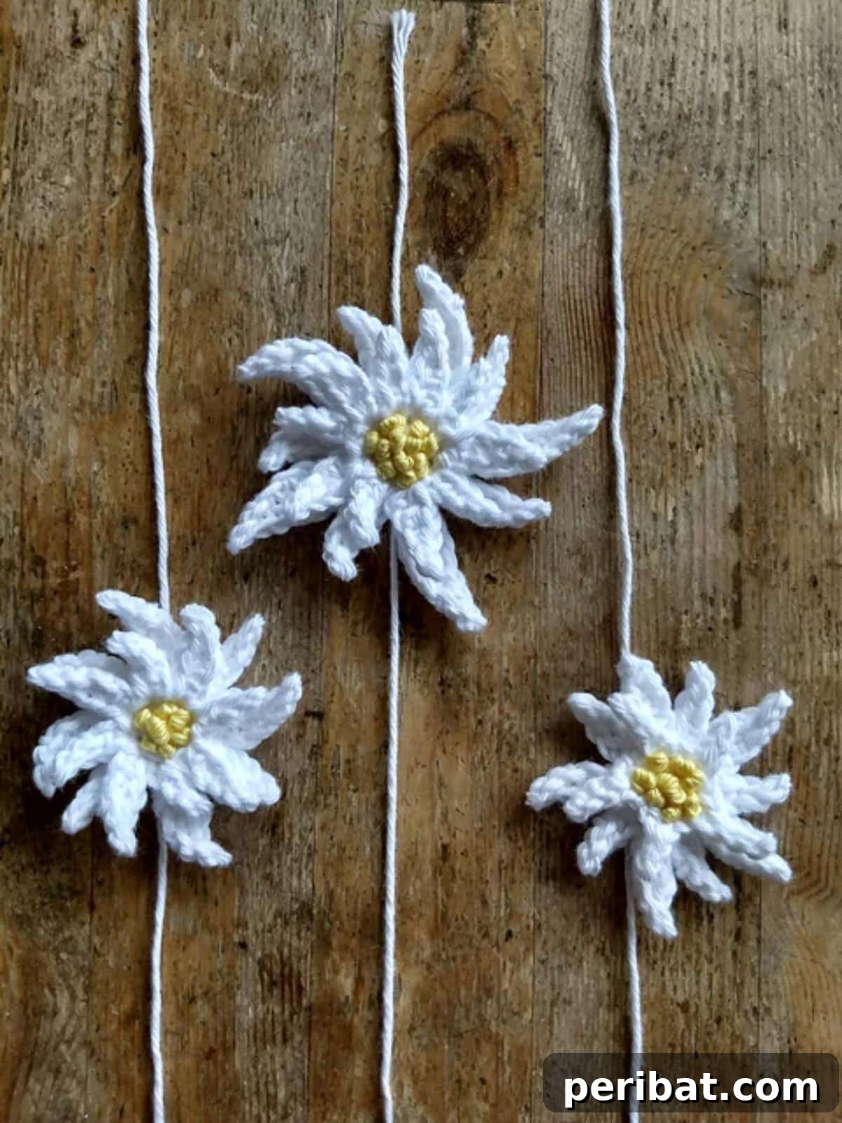 A pristine white crochet Edelweiss flower, capturing the delicate beauty of the alpine bloom.