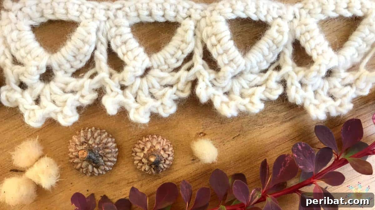 37 Stunning Crochet Edging Designs 13 Coronet Lace Trim adding a touch of elegance to crochet projects.