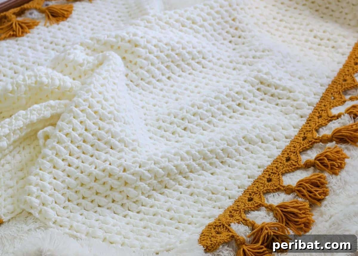 37 Stunning Crochet Edging Designs 16 Bulky Puff Stitch Crochet Blanket featuring a textured, plush border.