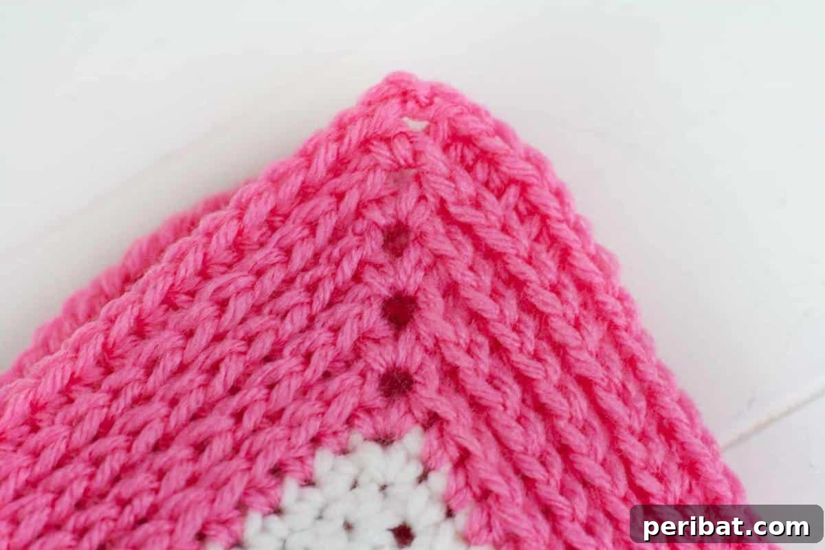 37 Stunning Crochet Edging Designs 8 Camel Stitch Blanket Border tutorial, creating a knit-like texture.