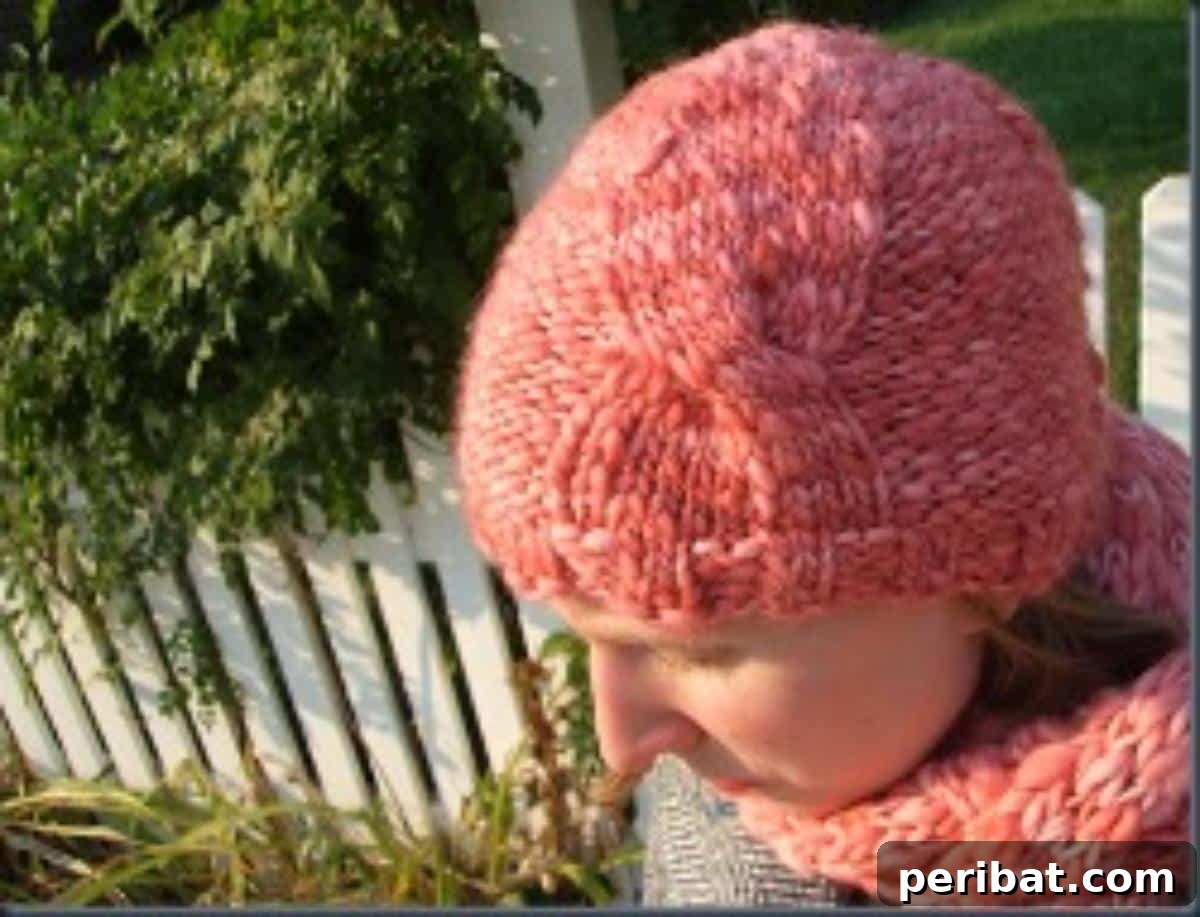 Cozy Knits: 40 Free Beanie Patterns and Tutorials 15 The whimsical Sugar Twist Knit Hat, a sweet and cozy accessory with a design reminiscent of sugary cotton candy, perfect for adding a touch of delight to winter outfits.