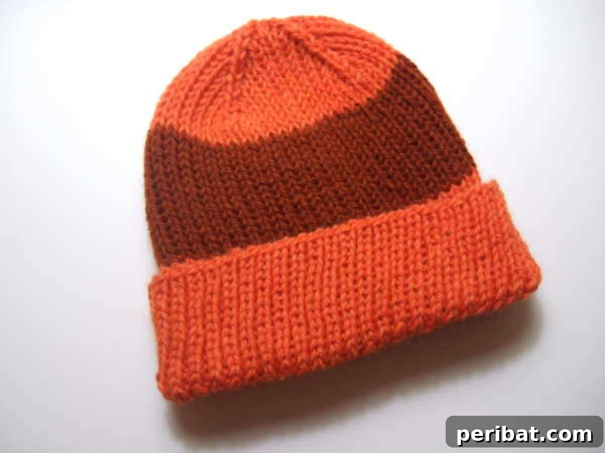 Cozy Knits: 40 Free Beanie Patterns and Tutorials 18 A versatile DIY Ribbed Hat pattern, offering a tailored crown and available in multiple sizes from newborn to adult, ensuring a perfect, snug fit for everyone.