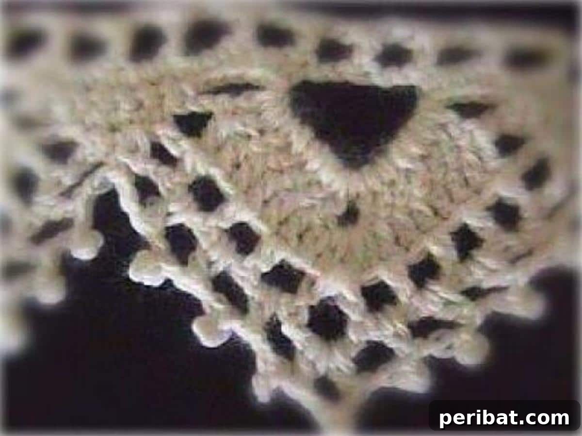 38 Creative Crochet Edging Ideas 19 Charming Picot and Lace Crochet Edging, combining delicate picots with intricate lace.