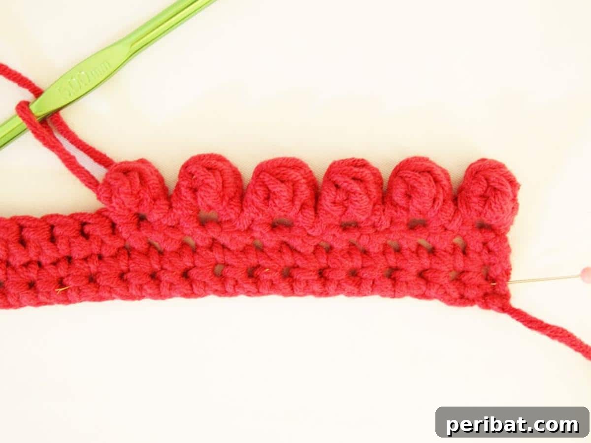 38 Creative Crochet Edging Ideas 5 Textured Crocheted Bobble Edging tutorial, adding dimension to blankets and garments.