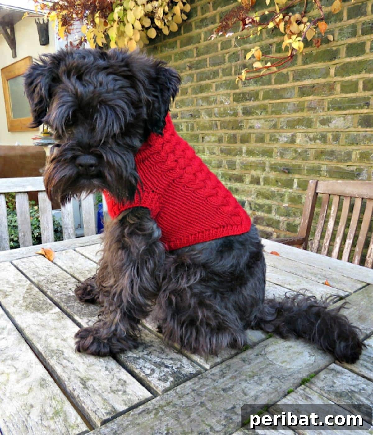 Maxi’s Christmas Jumper