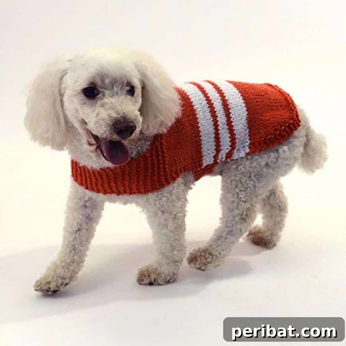Collegiate Dog Sweater
