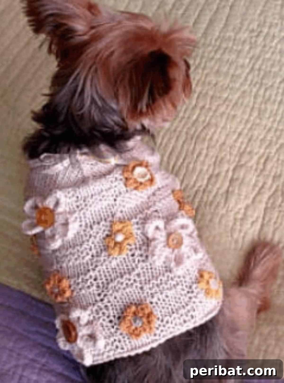 Appliqued Dog Sweater