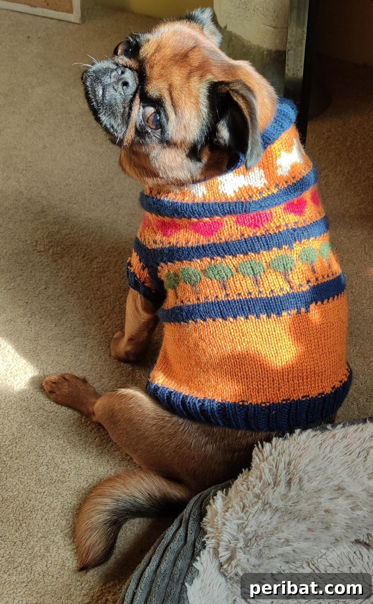 Fair Isle Dog Sweater