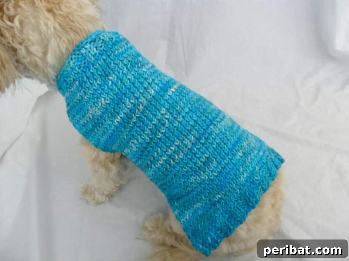 Simple Dog Sweater