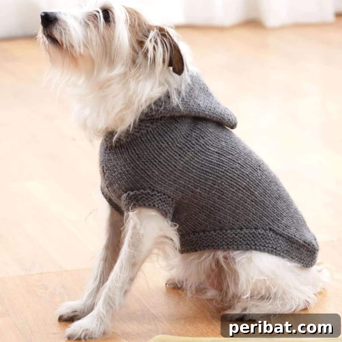 Bernat Hoodie Dog Coat