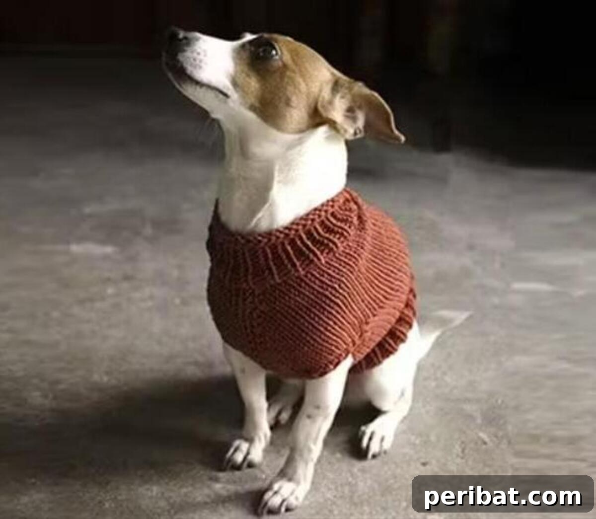 The Juno Jumper