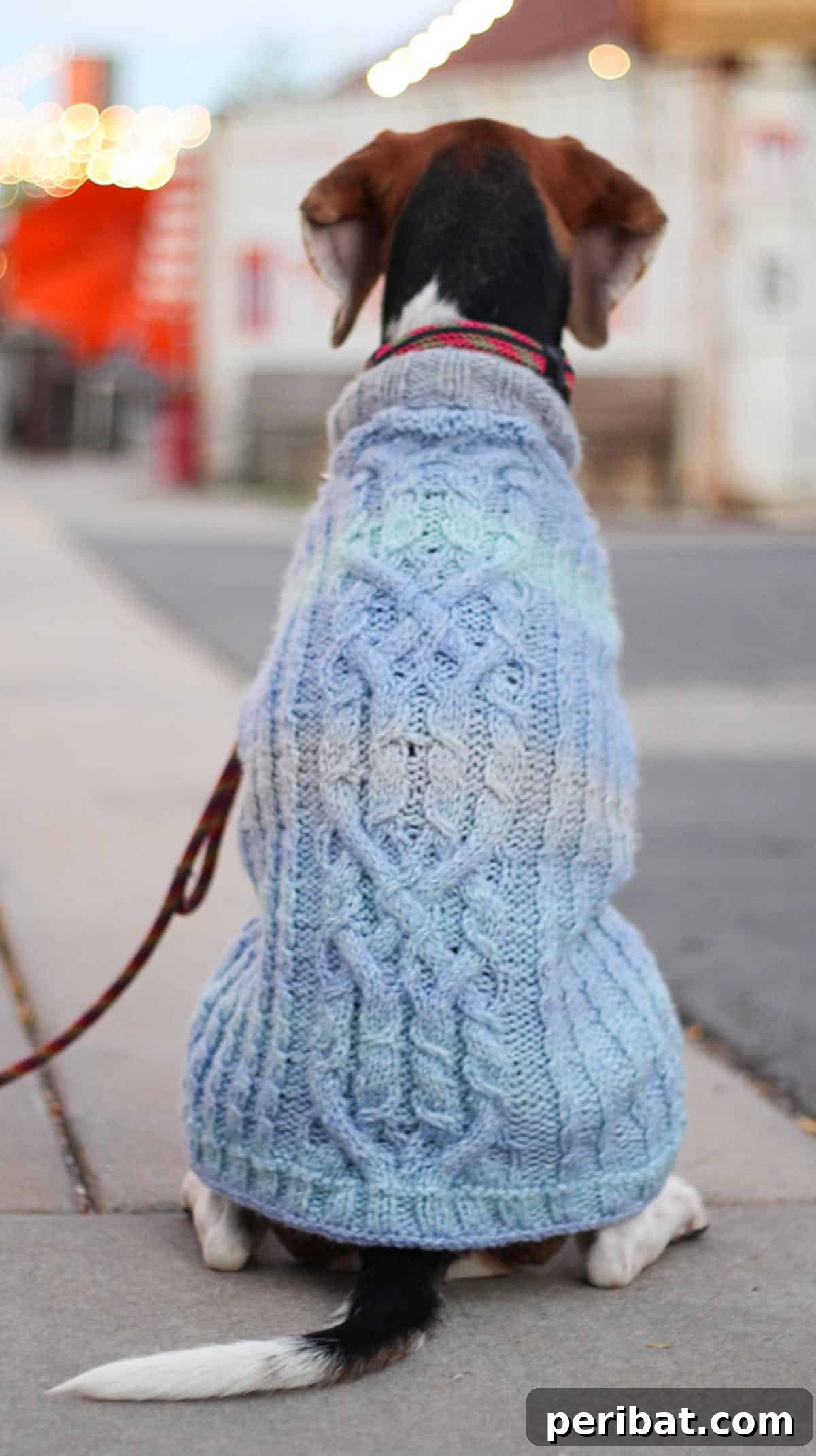 Skift Dog