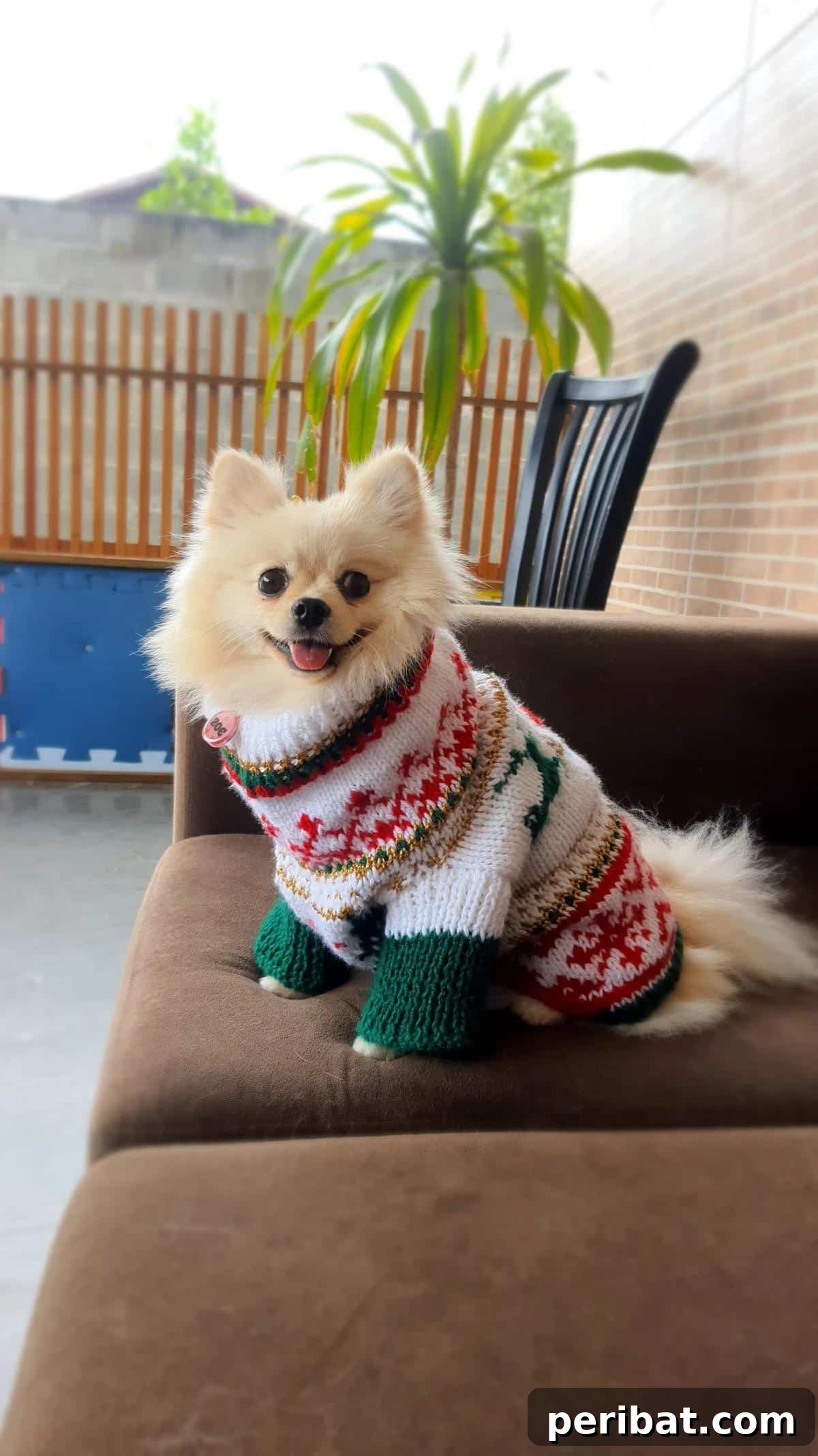 Dog Christmas Sweater