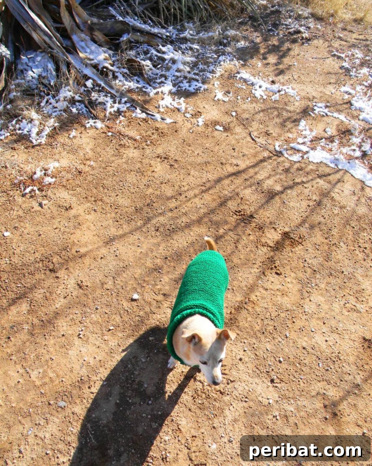 Doggie Sweater