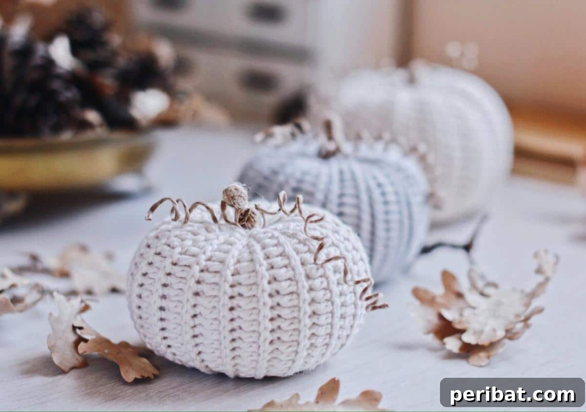 Forty Essential Autumn Crochet Projects 38 Three Crochet Harvest Pumpkins