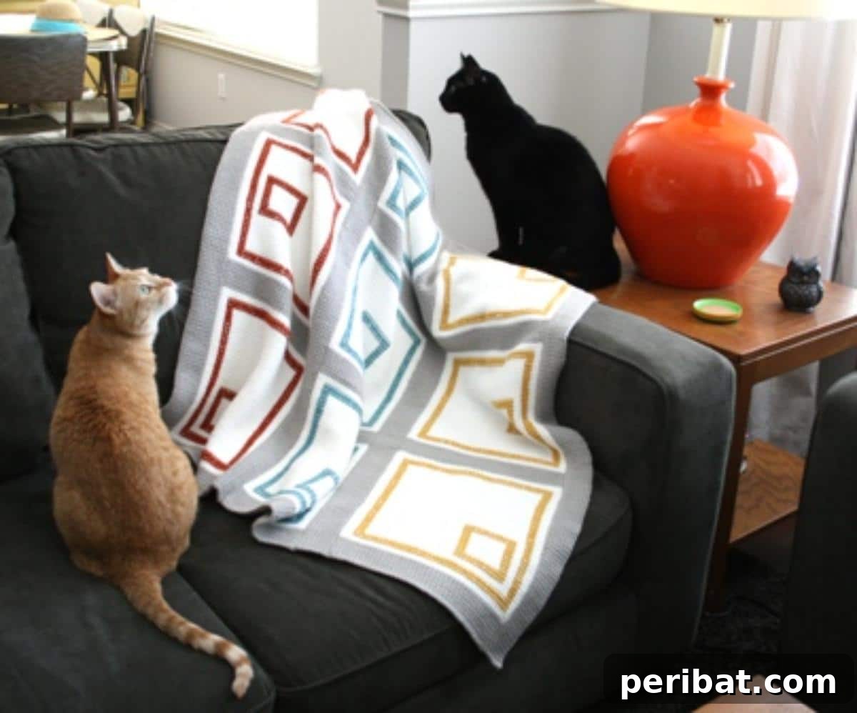 29 Beautiful Tunisian Crochet Projects 13 Modern Tunisian Quilt, a colorful and cozy blanket with a contemporary design and quilted aesthetic.