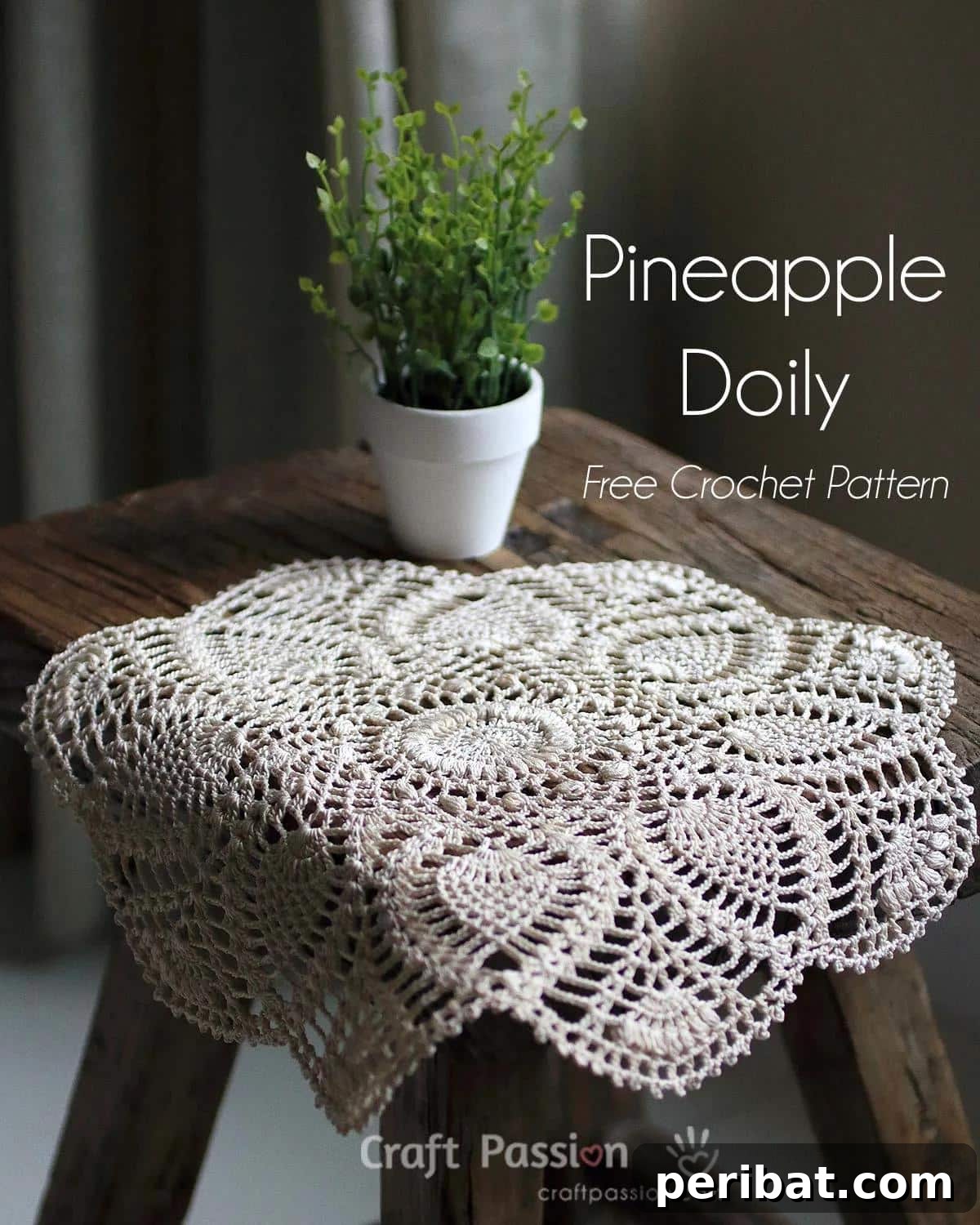 40 Charming Free Crochet Doily Designs 13 rochet Pineapple Doily