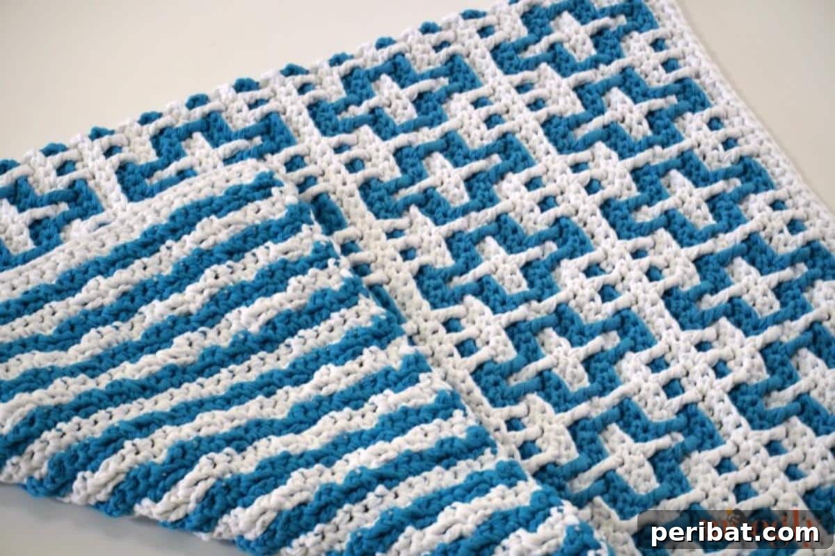 Creative Coziness: 38 Crochet Rug Ideas 19 Plush Plus Rug