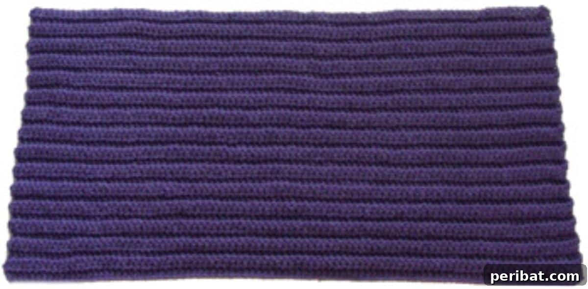 Creative Coziness: 38 Crochet Rug Ideas 32 Crochet Rug With Ridges