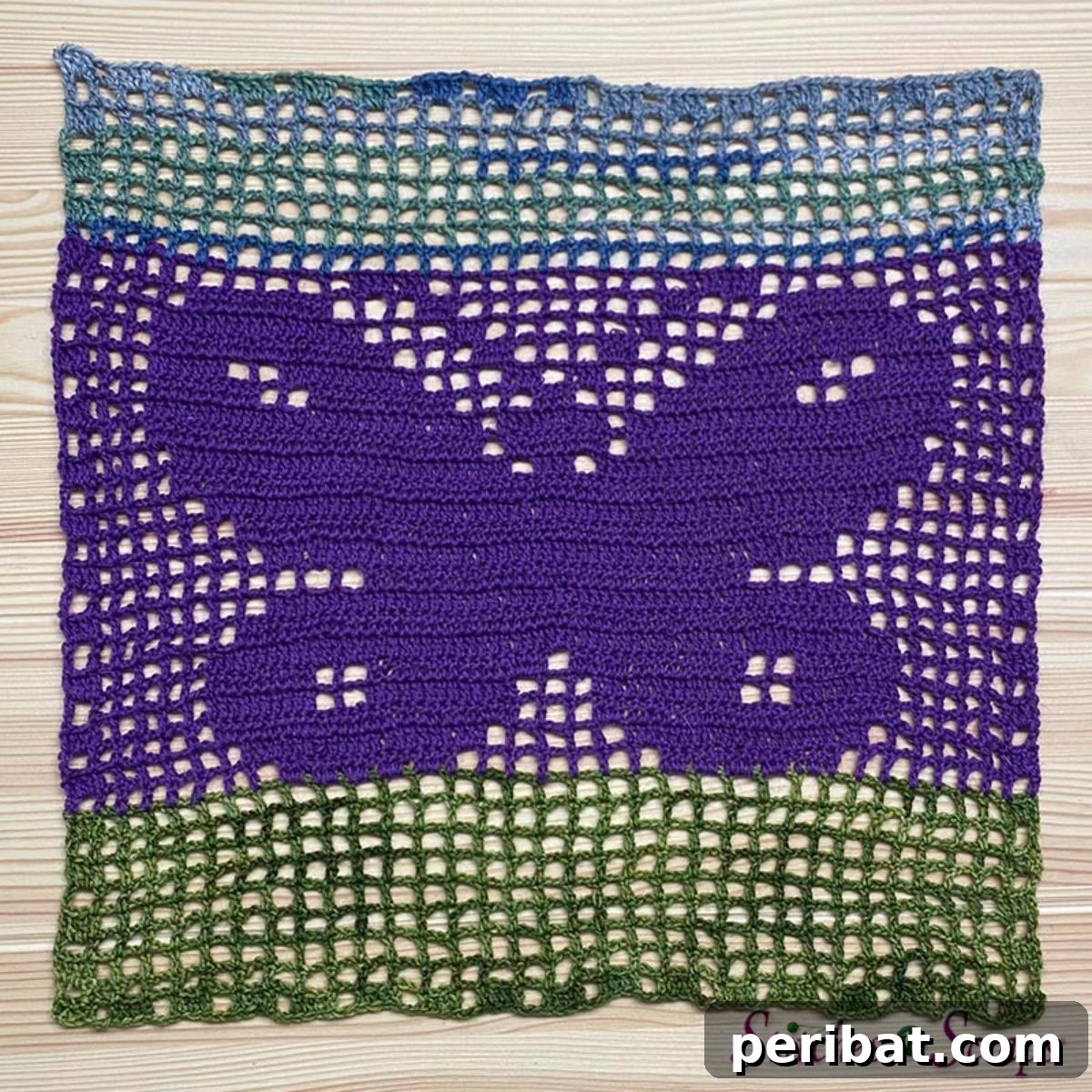 Filet Crochet Butterfly Square