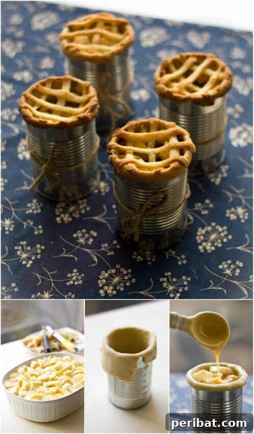 Tin Can Treasures: Transforming Recycled Metal into Stunning Home Decor 12 Mini apple pie baked and served in a tin can