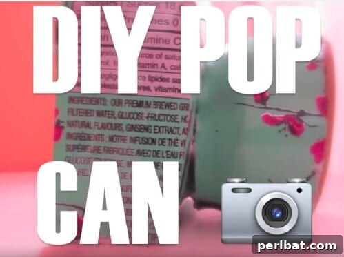 Tin Can Treasures: Transforming Recycled Metal into Stunning Home Decor 28 Decorative pop can camera made from a tin can