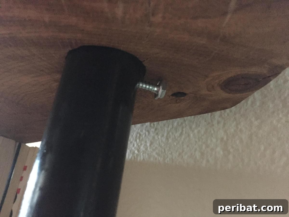 DIY Oak Tree Bookshelf Project 21 Close-up of a self-threading screw supporting an oak shelf from the back.