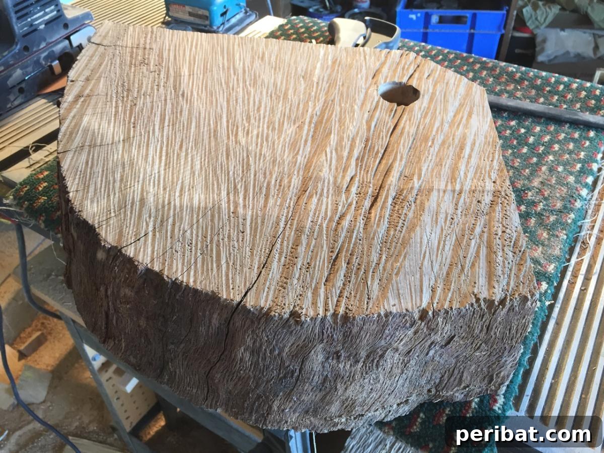 DIY Oak Tree Bookshelf Project 8 Arranging quartered oak pieces to mimic a tree trunk, showcasing chainsaw marks.