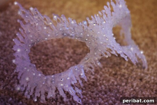 Ice Queen masquerade mask made from hot glue