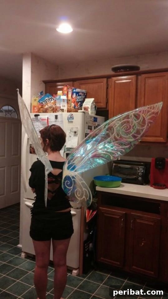 Handmade cellophane fairy wings