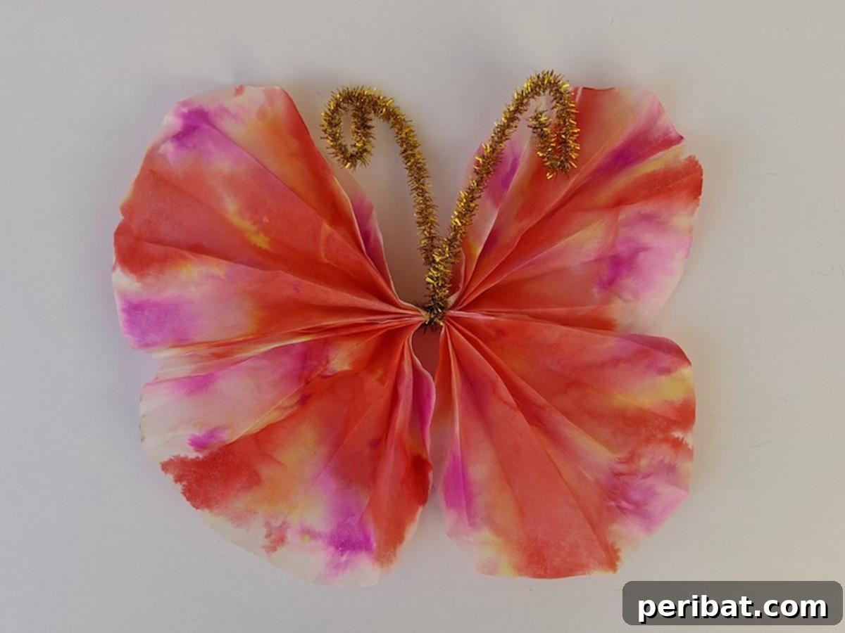 Coffee Filter Butterfly