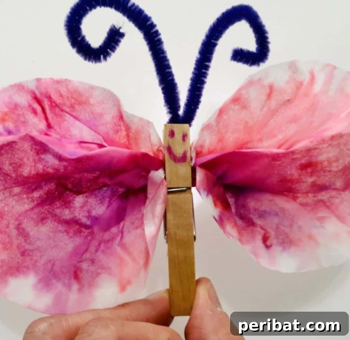 Coffee Filter Butterfly
