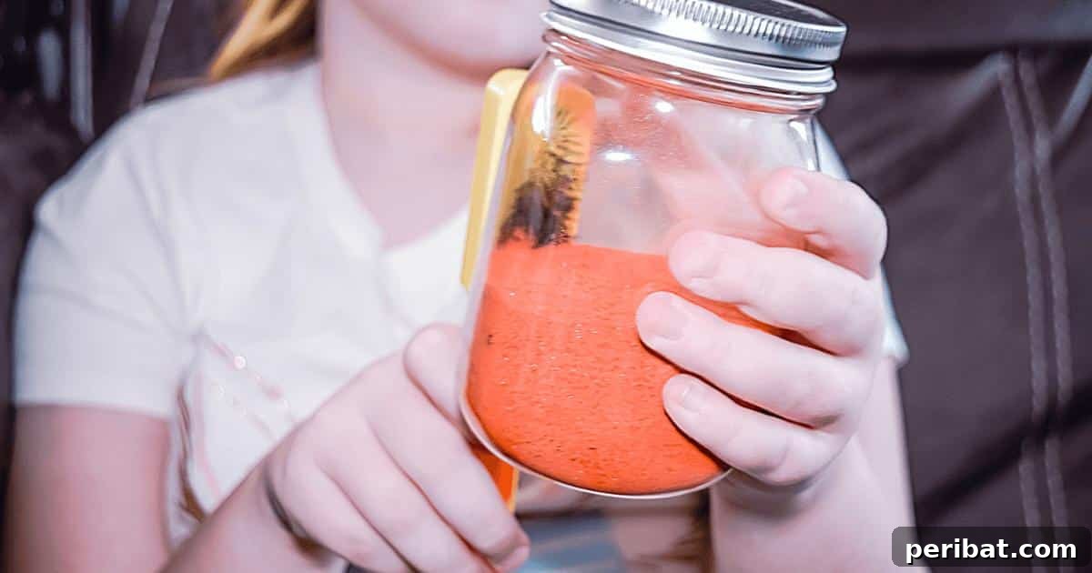 Crafting Colorful Salt Jars 25 Project Ideas 22 An intriguing Magnetic Sand Sensory Play Jar, containing colorful magnetic sand that can be manipulated with a wand. Offers visual appeal and stimulating sensory interaction for children.