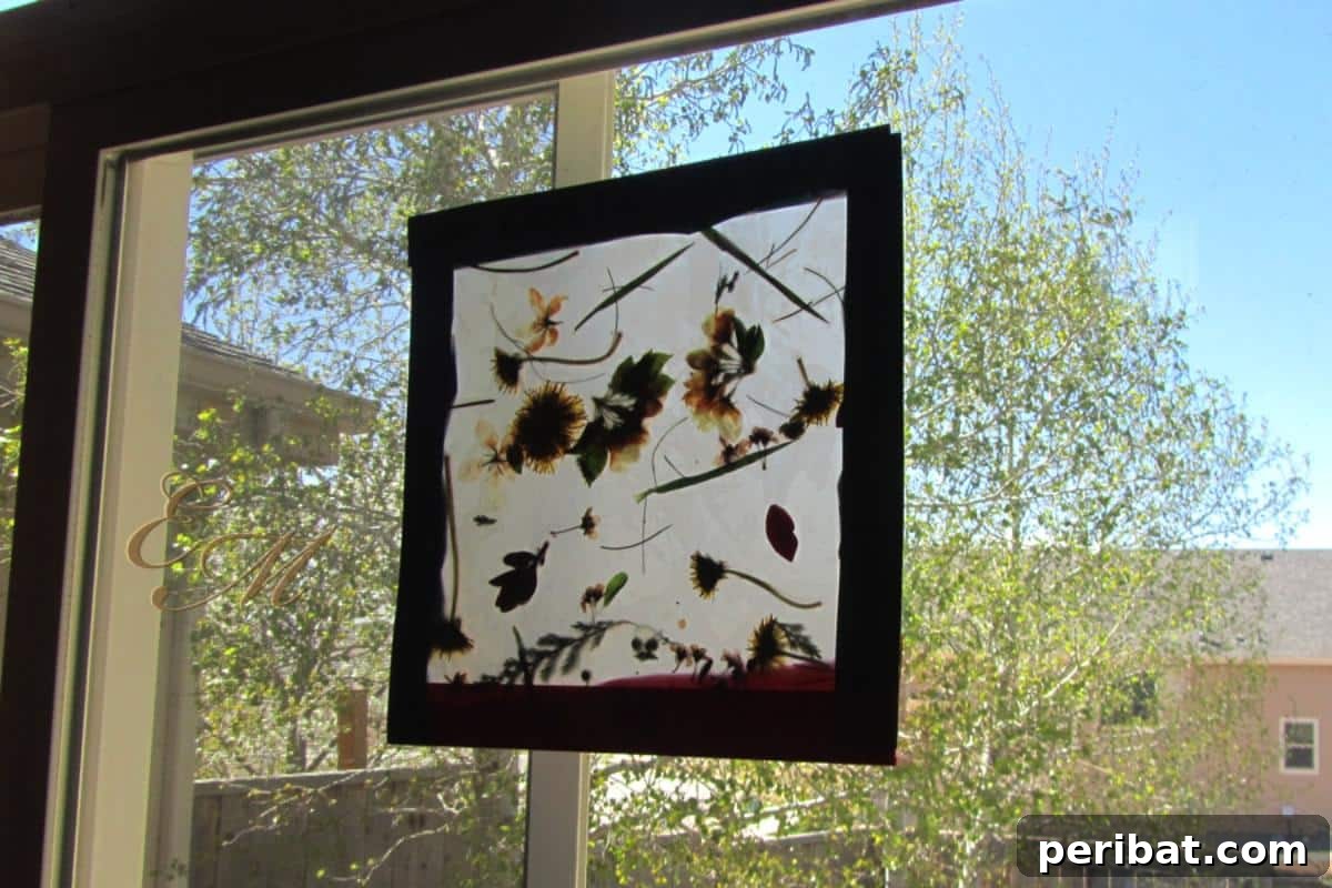 Crafting Nature's Radiance Suncatcher Projects 12 Nature Walk Sun Catcher