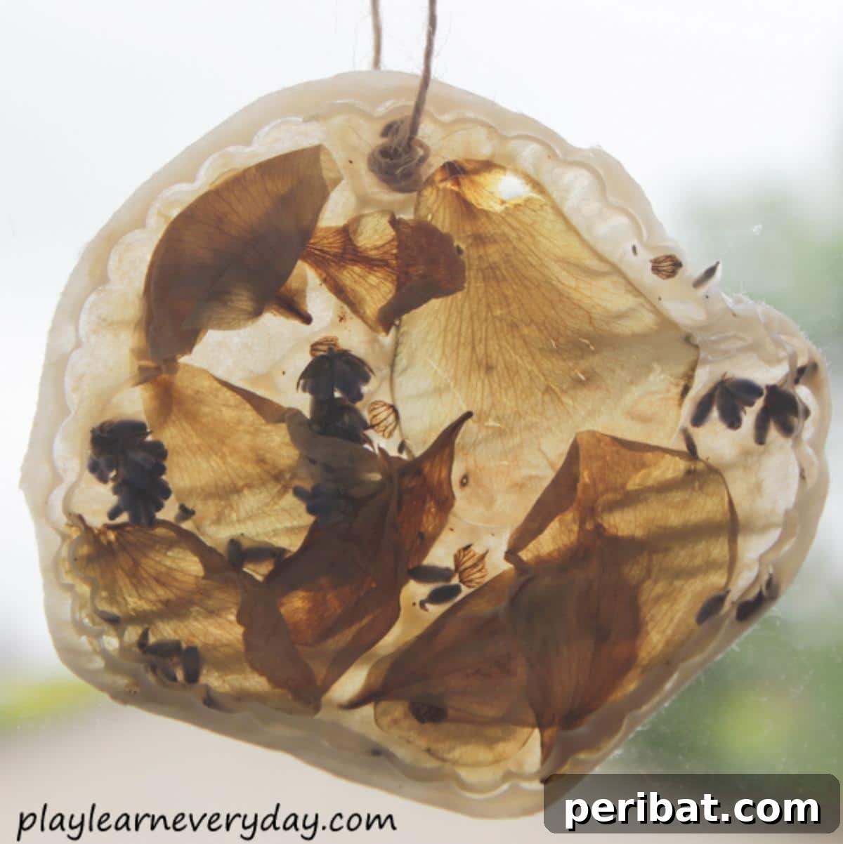 Crafting Nature's Radiance Suncatcher Projects 17 Flower Petal Suncatcher