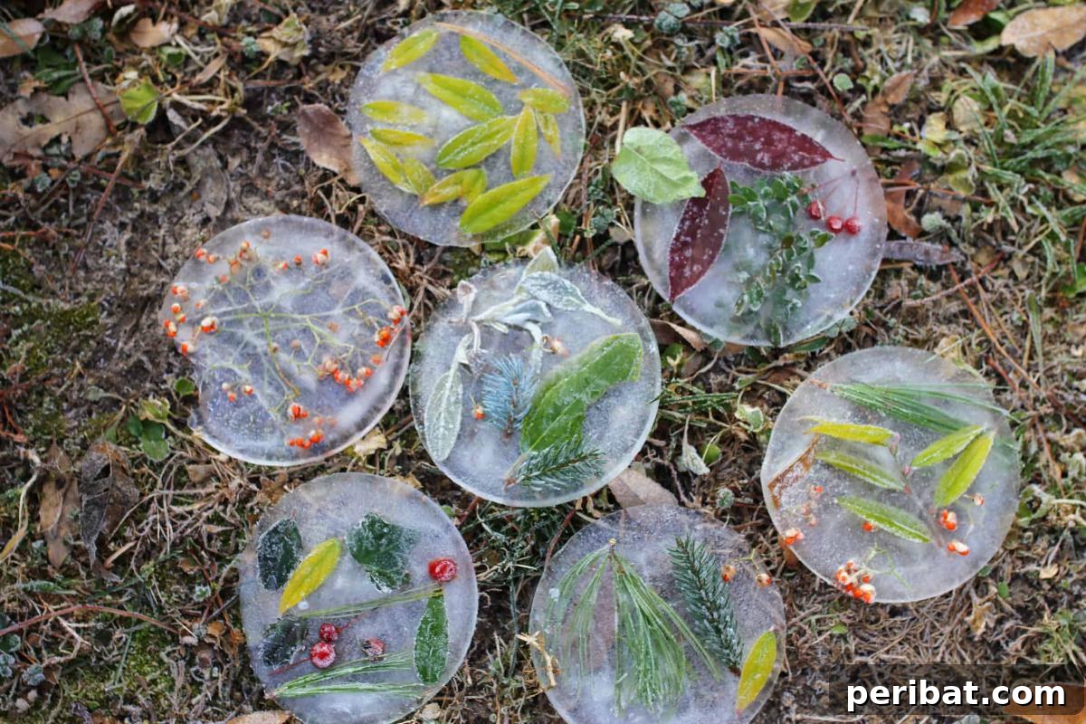 Crafting Nature's Radiance Suncatcher Projects 18 DIY Frozen Suncatchers