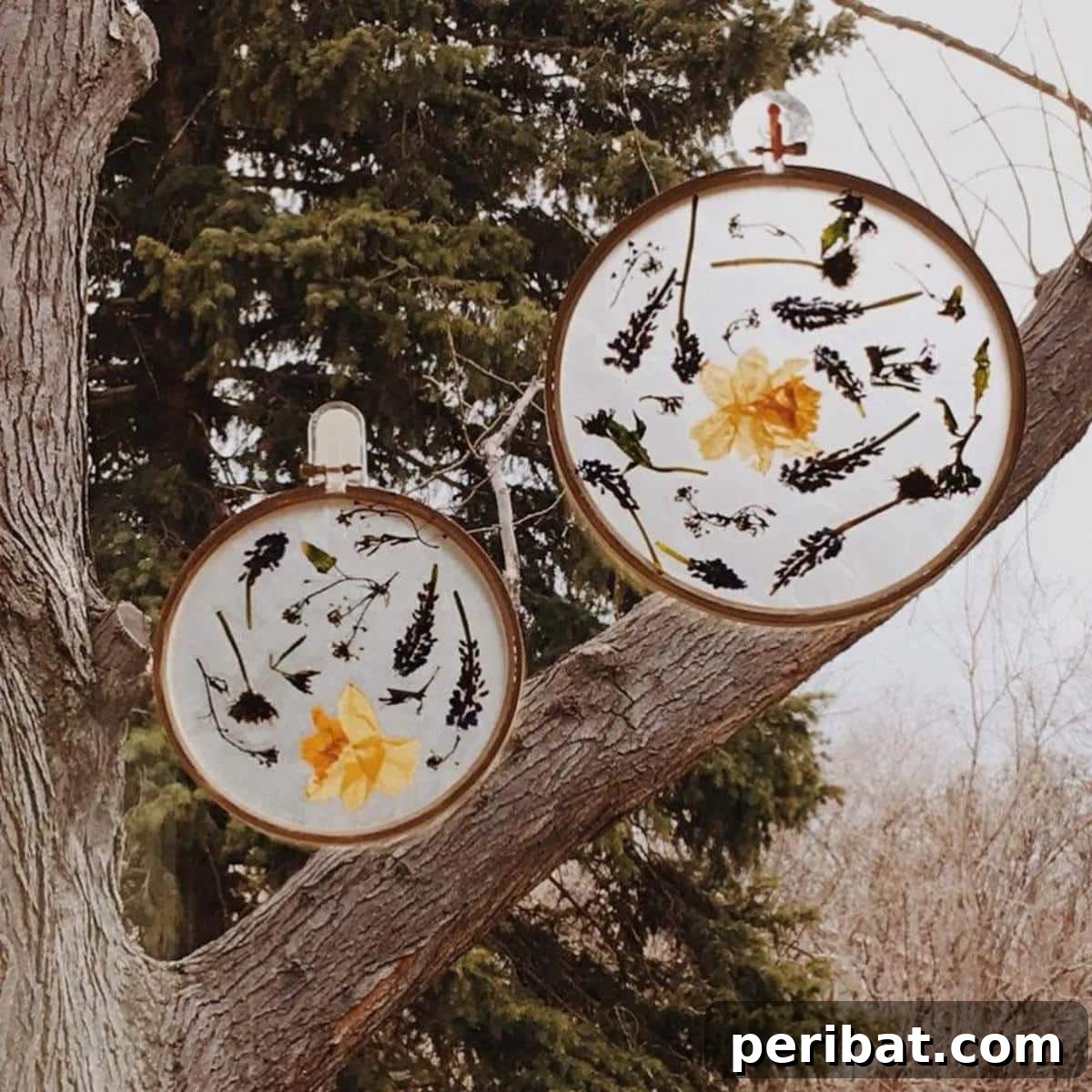 Crafting Nature's Radiance Suncatcher Projects 19 DIY Flower Sun Catchers